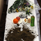 Food and drinks left on the coffin of someone who died during the 2011 tsunami in Japan (Photo: Toshifumi Kitamura/Getty Images)